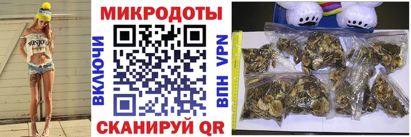 Галлюциногенные грибы Psilocybine cubensis  Купить  Гай 